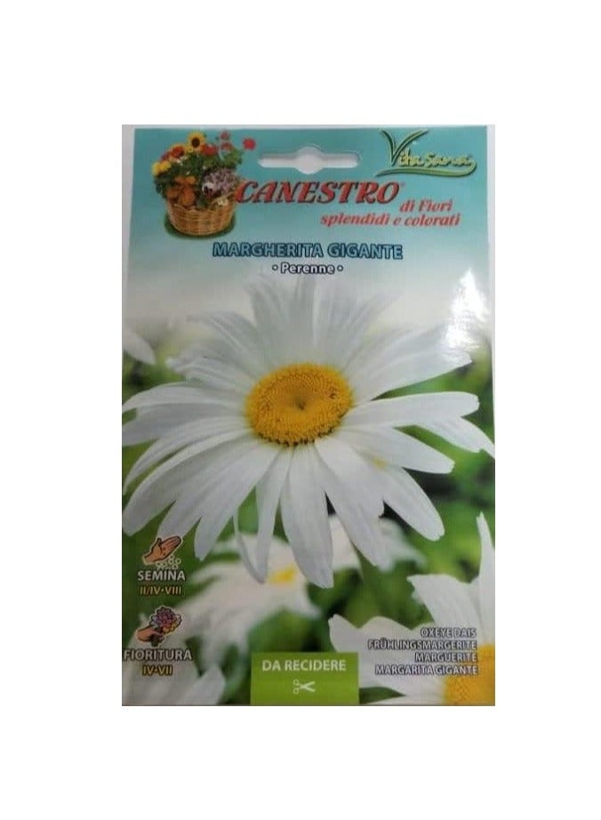 Generic Margherita Gigante Seeds by CANESTRO "Garden Care" 