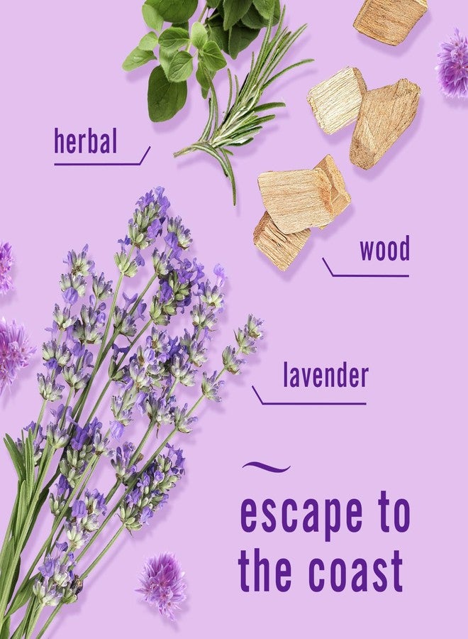 febreze معطر هواء فيبريز لمكافحة الروائح، داوني أبريل فريش، لافندر البحر الأبيض المتوسط، 0.87 أونصة سائلة، زيوت تعبئة، 4 تعبئات (2 من كل نوع) - Image 4