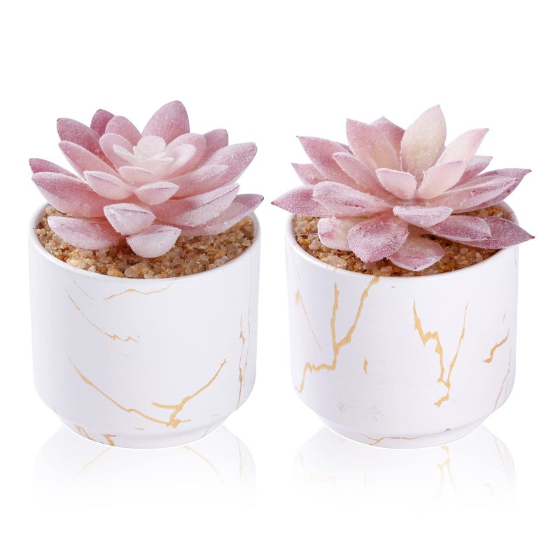 ZENIDA Artificial Plants and Succulents in 2 White Ceramic Pots,Small Fake Plants for Office and Desk Decor,Bathroom, Bedroom,Shelves for Women - Image 1