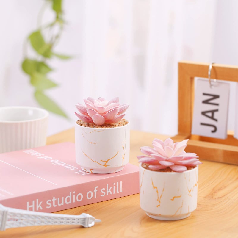 ZENIDA Artificial Plants and Succulents in 2 White Ceramic Pots,Small Fake Plants for Office and Desk Decor,Bathroom, Bedroom,Shelves for Women - Image 2