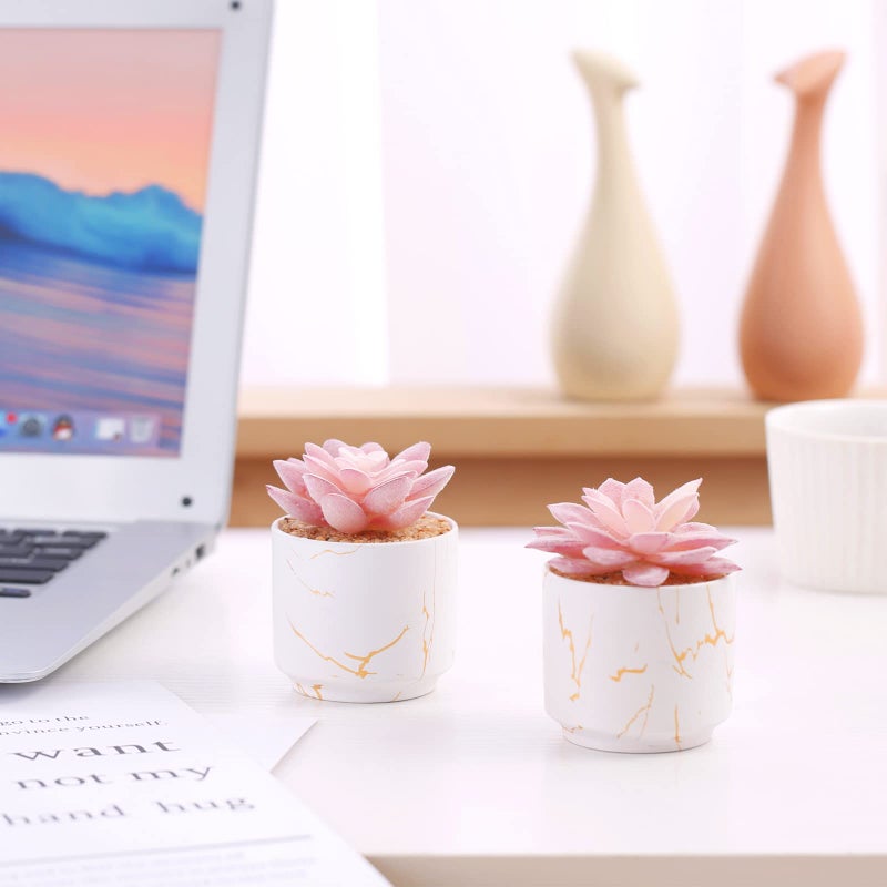 ZENIDA Artificial Plants and Succulents in 2 White Ceramic Pots,Small Fake Plants for Office and Desk Decor,Bathroom, Bedroom,Shelves for Women - Image 5