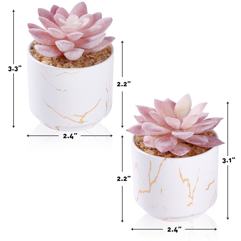 ZENIDA Artificial Plants and Succulents in 2 White Ceramic Pots,Small Fake Plants for Office and Desk Decor,Bathroom, Bedroom,Shelves for Women - Image 4
