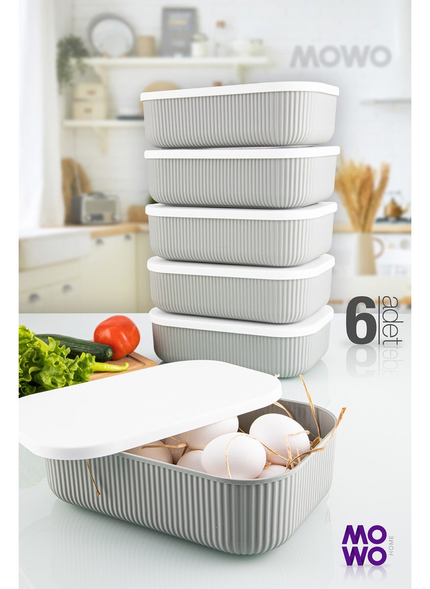 Trove 6 Pieces Kitchen Storage Container Gray 3.2 lt - pzsku/Z50AA6D42C8CF6306A135Z/45/_/1730650358/5f0979d5-1a64-45af-86e1-4cebc67e6f23