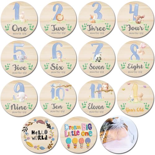RORANIC Baby Monthly Milestone Cards for Newborn Girl or Boy,Monthly Baby Milestone Newborn Sign Baby Month Anniversary Cards,Baby Shower Cards Come with Organza Gift Bag (Milestone Blocks) - Image 1