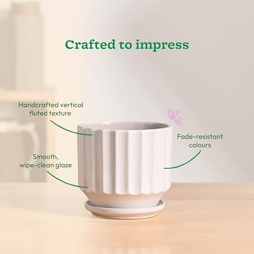 UGAOO Frosted Ceramic Pot for Indoor Plants - White (5 Inch) - Image 5