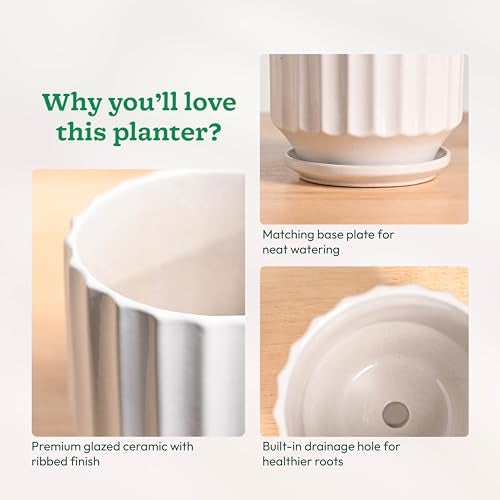 UGAOO Frosted Ceramic Pot for Indoor Plants - White (5 Inch) - Image 4