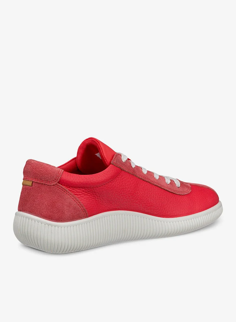 ECCO ECCO Soft Zero W Teaberry