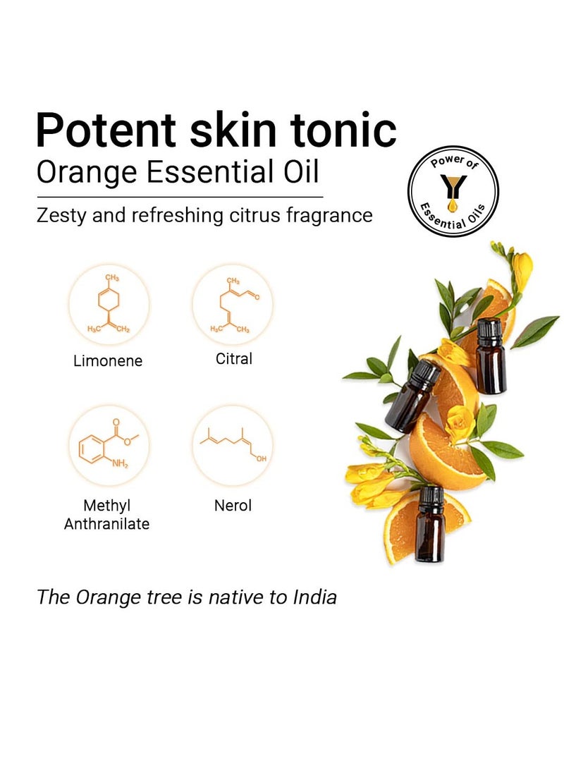 Keya Seth Keya Seth Honey Hydrating Toner Deep Conditioning Pure Honey Honey Conditioner Sodium PCA for Dry Dehydrated Skin 200ml  - Image 2