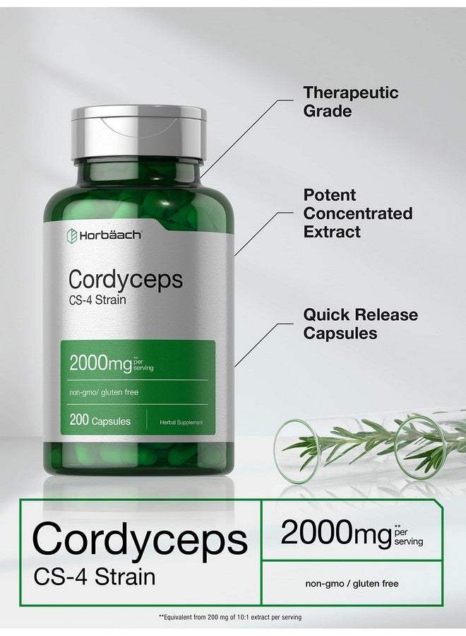Horbäach Cordyceps Mushroom Capsules 2000mg | 200 Count | CS-4 Strain Cordyceps Sinesis | Non-GMO Herbal Supplement - Image 3