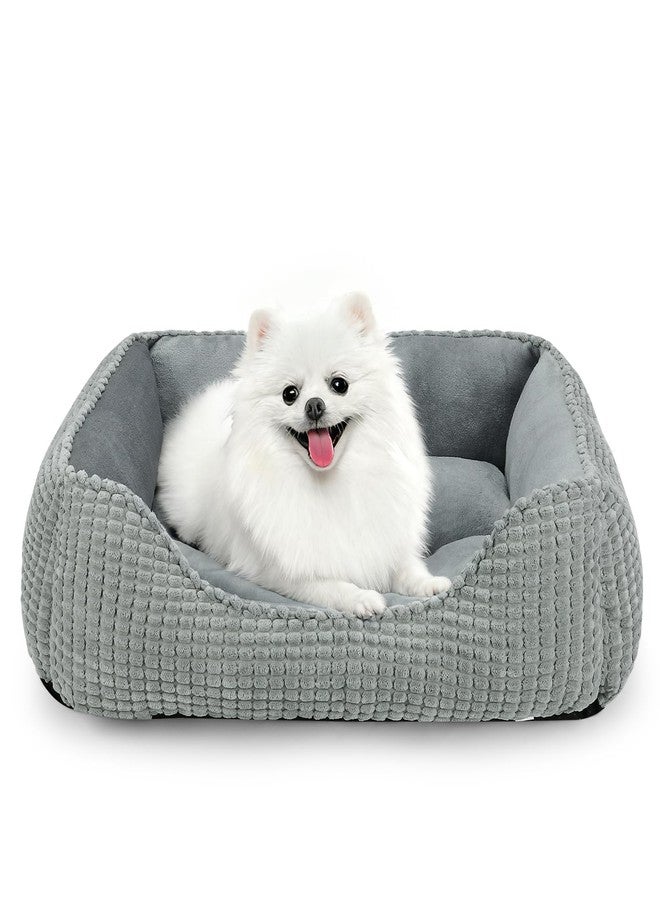 MIXJOY Dog Beds for Medium Dogs Washable, Rectangle Pet Bed Medium Size Dog, Orthopedic Sleeping Pet Sofa Bed, Soft Calming Cat Beds for Indoor Cats, Anti-Slip Bottom with Multiple Size - Image 1