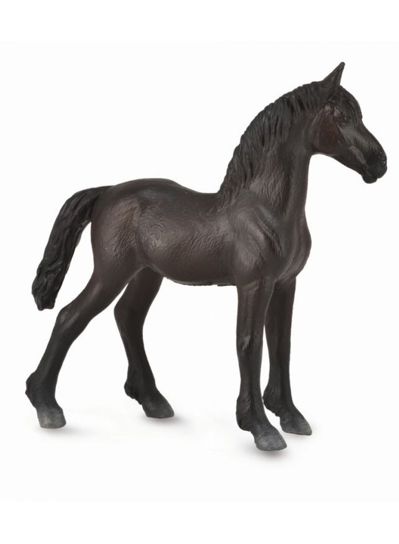 Collecta - Friesian Foal - 88815