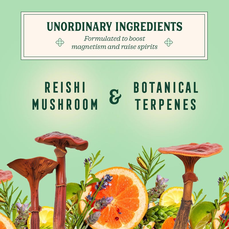 Little Saints Mocktails Non Alcoholic Drinks, Paloma (12 Pack) - Plant-Based & Alcohol-Free Paloma Cocktail Mixers - Sugar-Free Ready-to-Drink Sparkling Beverage for Parties & Celebrations, 8 Oz Cans - Image 4