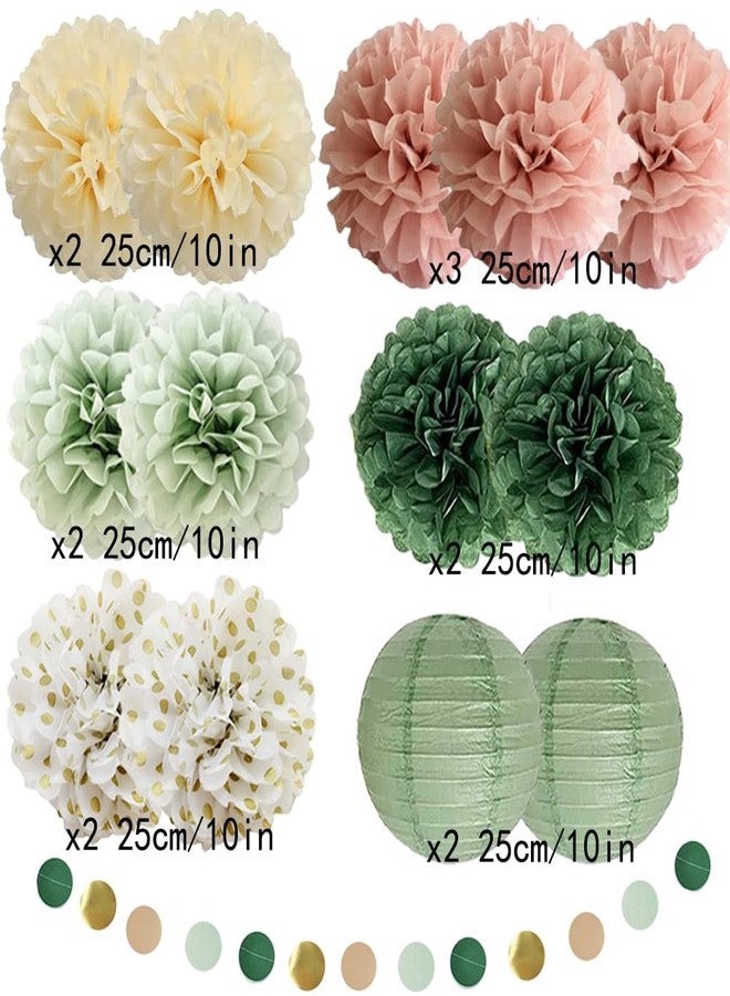FETETIJD Sage Green and Dusty Pink Party Decorations Sage Green Pink Tissue Paper Pom Poms Decorations Paper Lanterns Cicle Dots Garland for Bridal Shower Baby Shower Wedding Birthday Party Decorations - Image 2