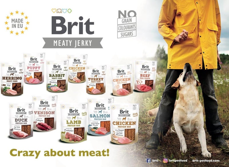 BRIT Jerky Salmon Protein Bar - Image 2
