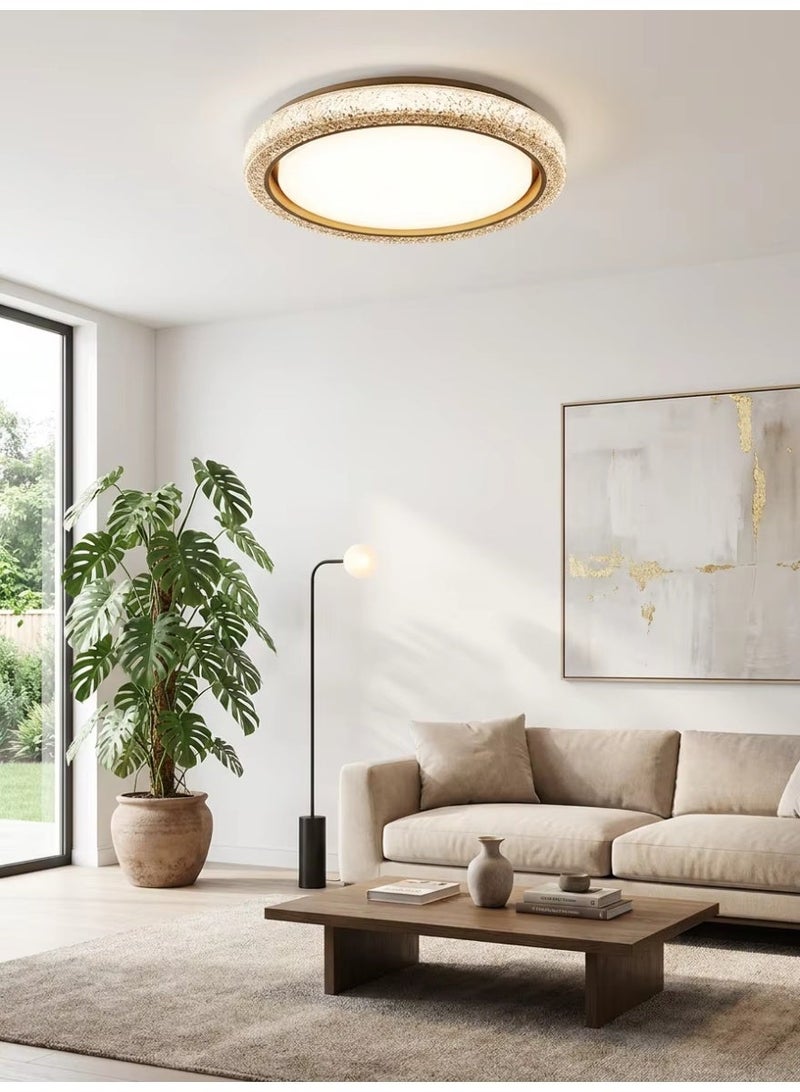 SageLiving Modern Round LED Ceiling Light 72W | RG Multi-Color Dimmable Flush Mount Lamp with Metal & Acrylic | 50cm Bright Lighting for Bedroom, Living Room & Study (15–25㎡) - Image 1