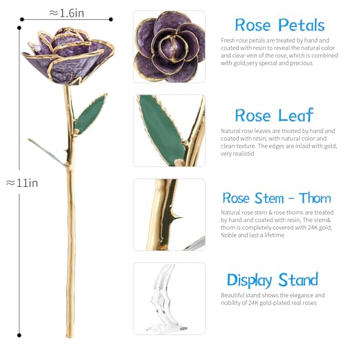 SW 24k Gold Dipped Real Rose Lasted Forever with Stand Gift for Women, Mom, Her, Christmas, Valentines Day, Mothers Day, Birthday - Purple Gold Rose - Image 5