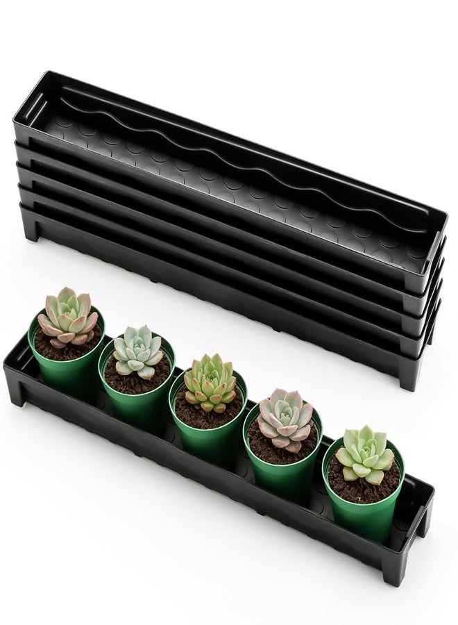 RooTrimmer 5 Pack Plastic Plant Saucer (17"x3"x1.5"), Rectangular Window Sill Plant Pot Trays with Removable Drainage Hole, Thick Windowsill Saucer Tray for 2.8 inch (7CM) Flower Nursery Pots (Black) - Image 1