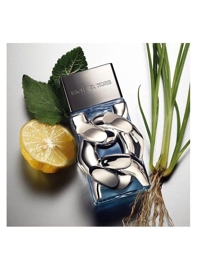 Michael Kors - Pour Homme EDP 100ML - Image 1
