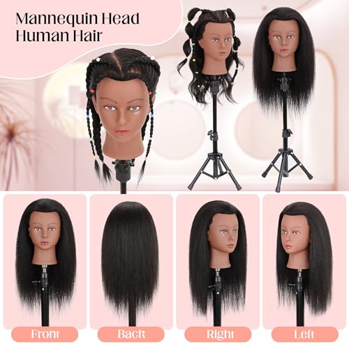 Demides Mannequin Head Human Hair 14", Mannequin Head for Braiding Styling Doll Head, Mannequin Head with Hair Dolls to Practice 100% Real Hair - Image 5