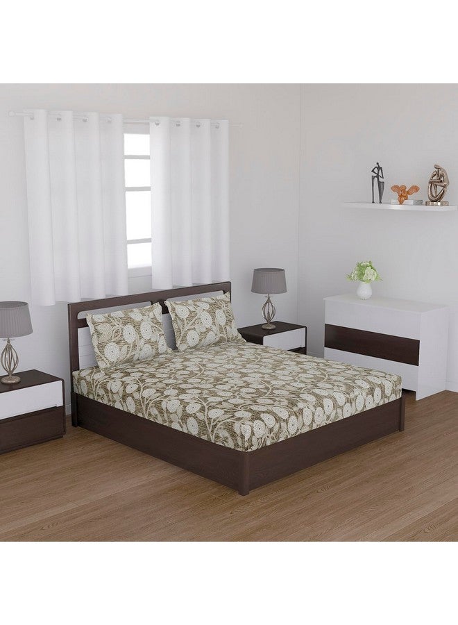 Status Contract Cotton Rich Double Bedsheet with 2 Pillow Covers for Bed Room, Home, Hotel-120 GSM (Green) - Image 2