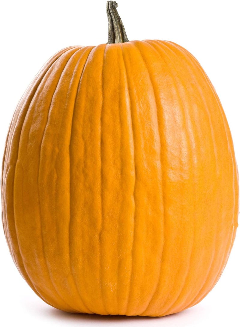GGOOT - 35 x Pumpkin Jack O' Lantern Vegetable/Fruit Seeds - Heirloom, Non-GMO - Image 3