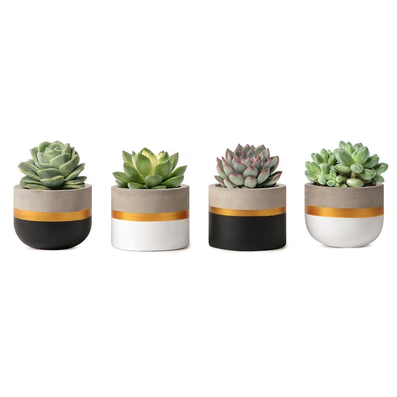 Mkono 3 Inch Mini Succulent Pots Concrete Planter Set Modern Tiny Container for Indoor Plants Christmas Home Office Decor Gifts for Plant Lovers Plant NOT Included