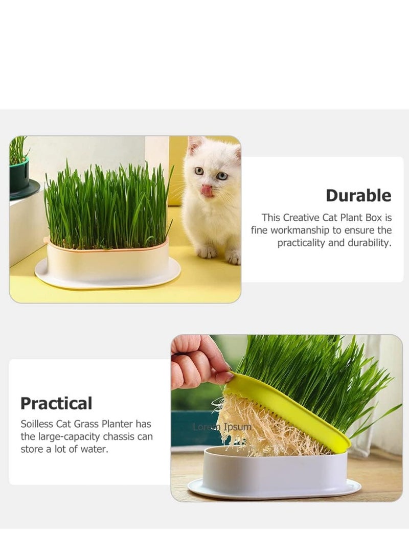 مجموعة عشب القطط صندوق زراعة حضانة نباتات القطط، زارع عشب القطط للقطط الداخلية أو الخارجية سهل النمو - Image 3