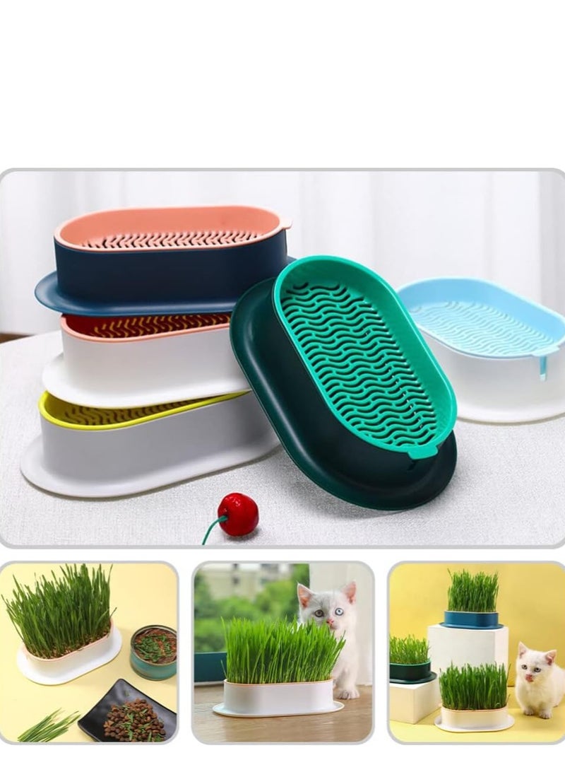 مجموعة عشب القطط صندوق زراعة حضانة نباتات القطط، زارع عشب القطط للقطط الداخلية أو الخارجية سهل النمو - Image 4