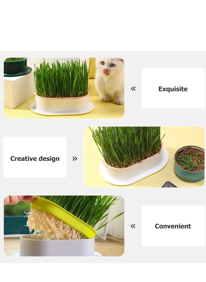 مجموعة عشب القطط صندوق زراعة حضانة نباتات القطط، زارع عشب القطط للقطط الداخلية أو الخارجية سهل النمو - Image 5