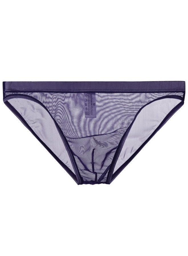 Men's Sheer Mesh Underwear, Thin Low-rise Pouch Breathable Briefs, Young Men's Tight-fitting Underwear