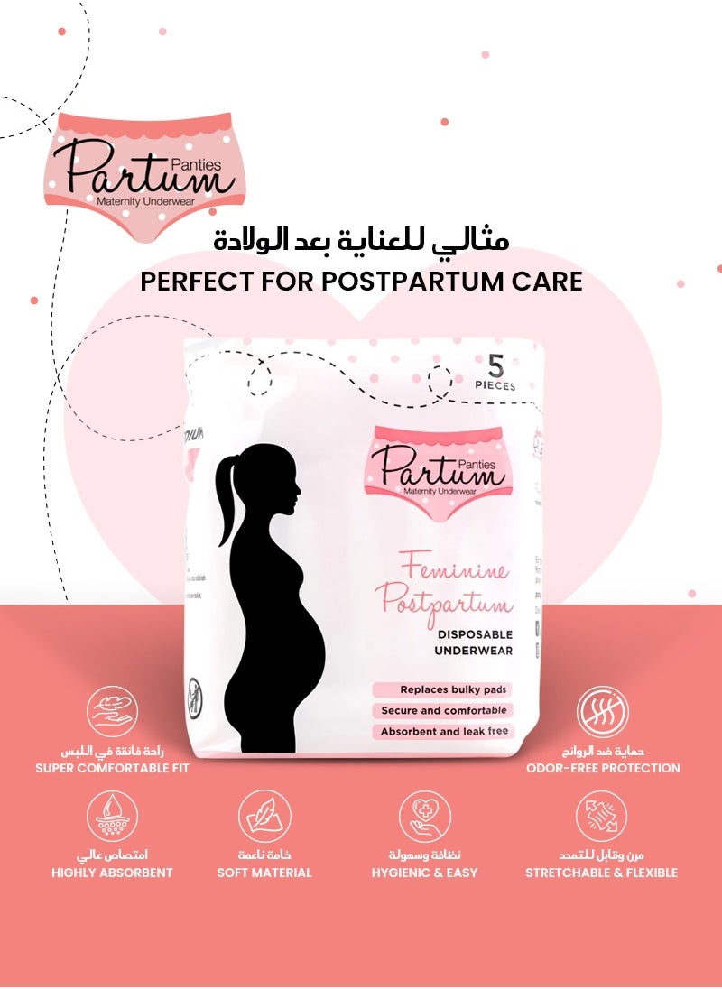 High-Waisted 5-Pack Bundle Disposable Postpartum Underwear | Large Size 100-140CM Hips | Soft & Absorbent | Ideal for Postpartum Recovery | Comfortable & Leak-Free
