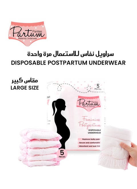 High-Waisted 5-Pack Bundle Disposable Postpartum Underwear | Large Size 100-140CM Hips | Soft & Absorbent | Ideal for Postpartum Recovery | Comfortable & Leak-Free