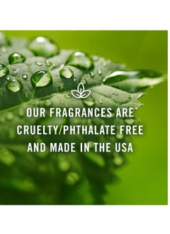 P&J Trading P&J Fragrance Oil - Peaches & Cream Scented Candle, 100ml  - Image 3