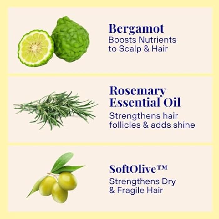 The Powder Shampoo Hydrating Volume Conditioner (Bergamot & Rosemary) - 0.7oz - Image 5
