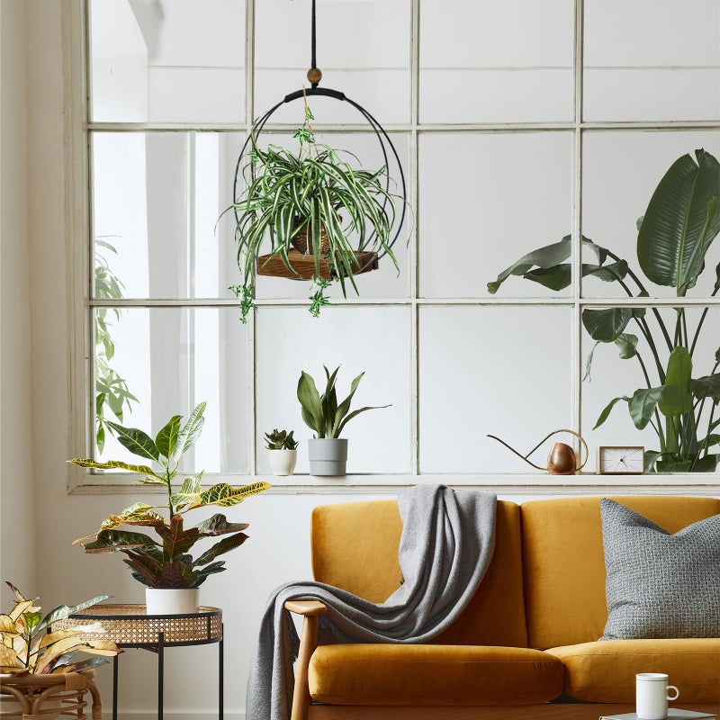 Adnkwolivt Hanging Planter for Indoor Plants - Outdoor Plant Hanger, Mid Century Metal Plant Hanger, Indoor Conner Ceiling, Gift for Mom, Plant Lovers, Housewarming - Image 5