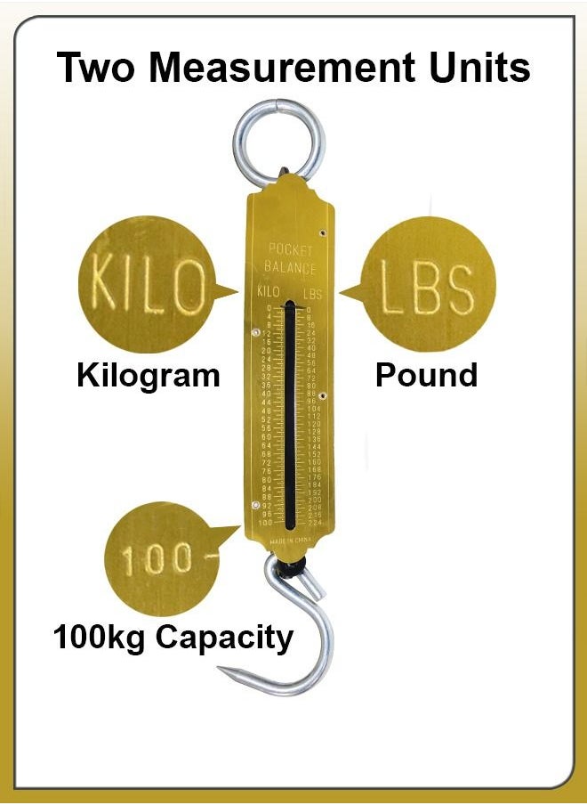 DBLEW - 100kg Pocket Spring Balance Mechanical Hanging Loop Weight Measuring Weighing Tool Portable Scale For Home Kitchen Meat Workshop And Luggage Measurements - Image 1