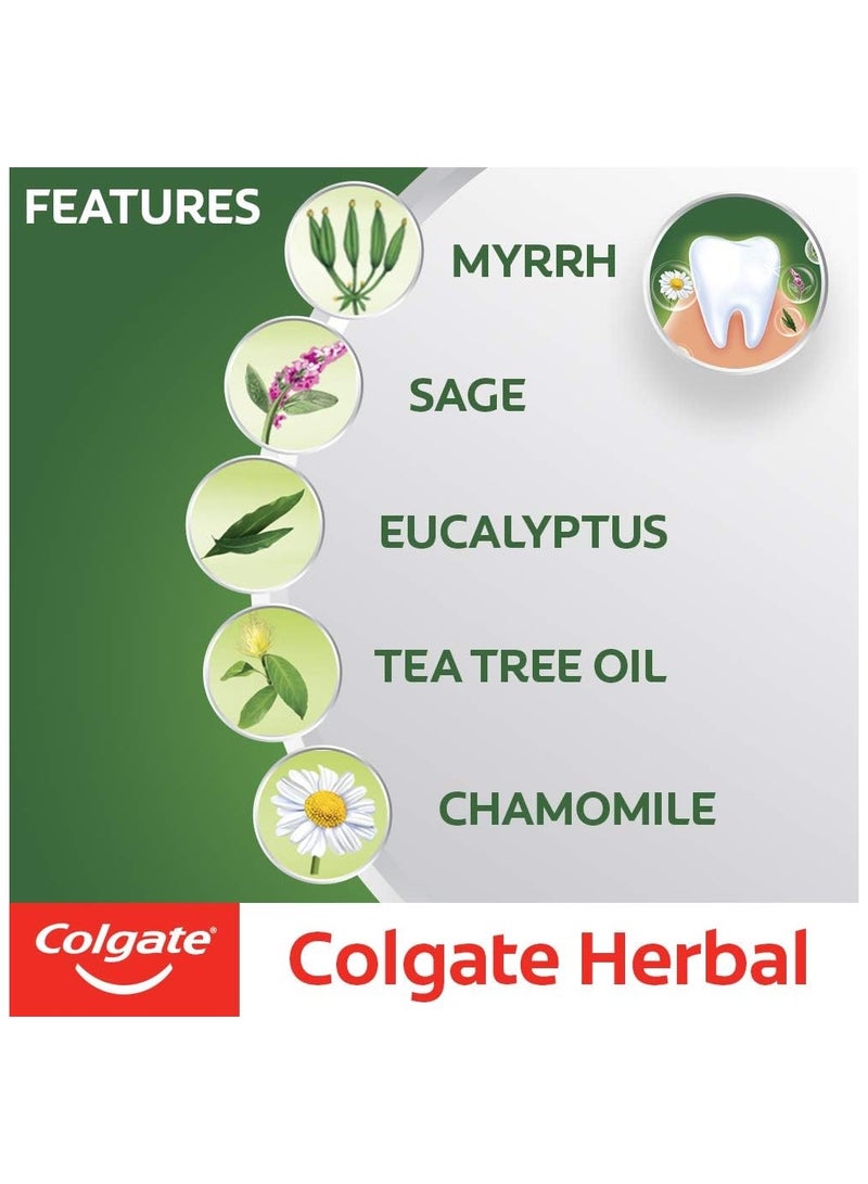 Colgate Herbal Toothpaste 125g pack of 3 - Image 2
