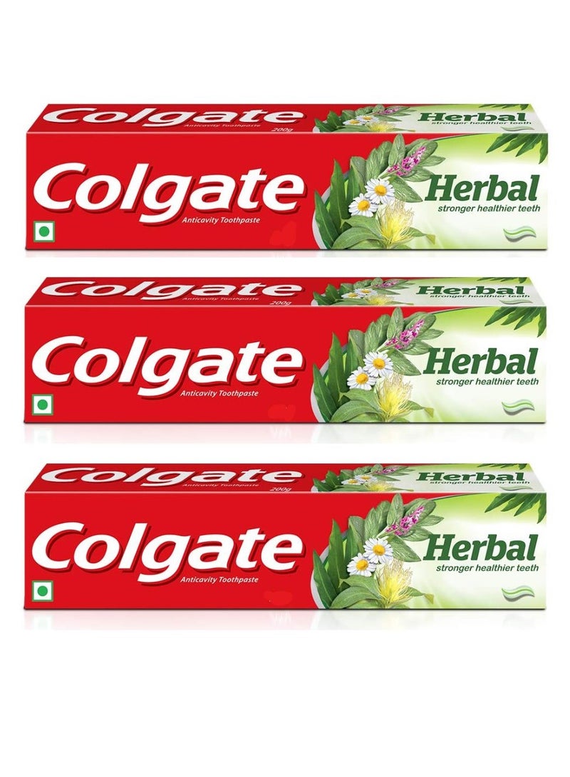Colgate Herbal Toothpaste 125g pack of 3 - Image 1