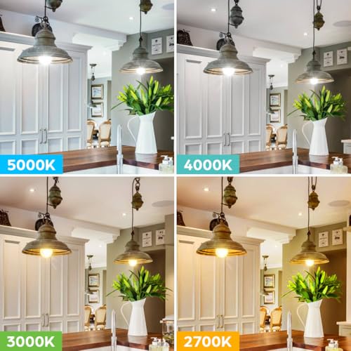 Brightever LED Light Bulbs 100W Equivalent 1500 Lumens, A19 13W 5000K Daylight White Non-Dimmable, Super Bright No Flicker Standard E26 Edison Screw Bulbs for Home, Bedroom, Office Lamp, 12-Pack - Image 3