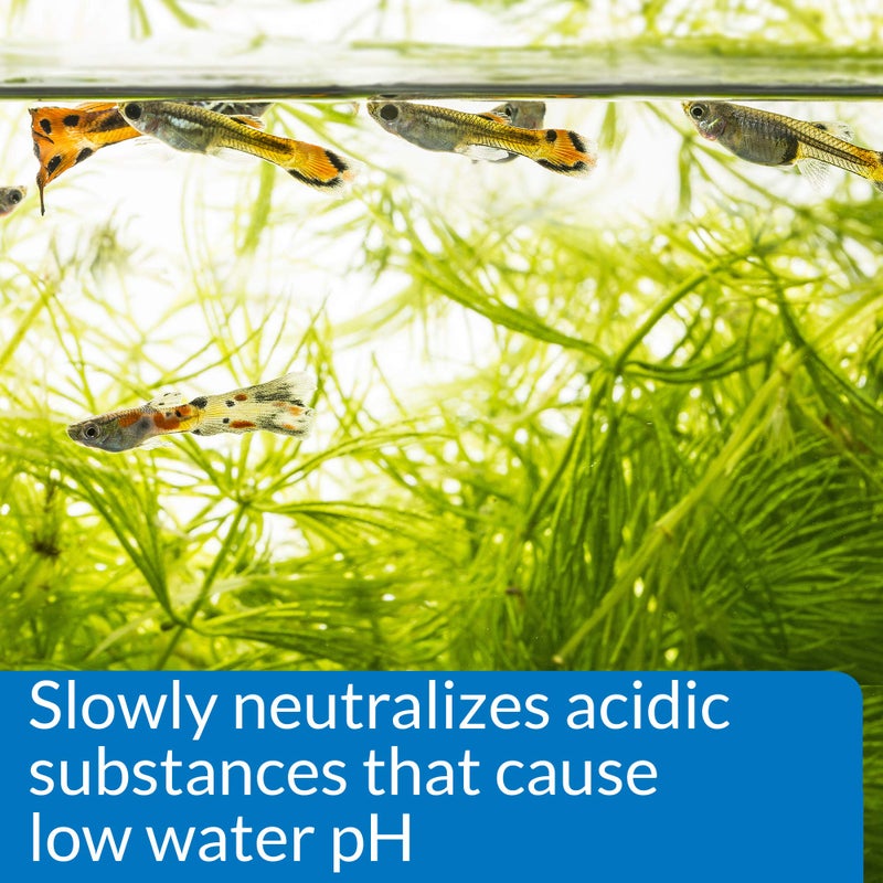 API pH UP Freshwater Aquarium Water pH Raising Solution for fish,4-Ounce Bottle, Brown - Image 4