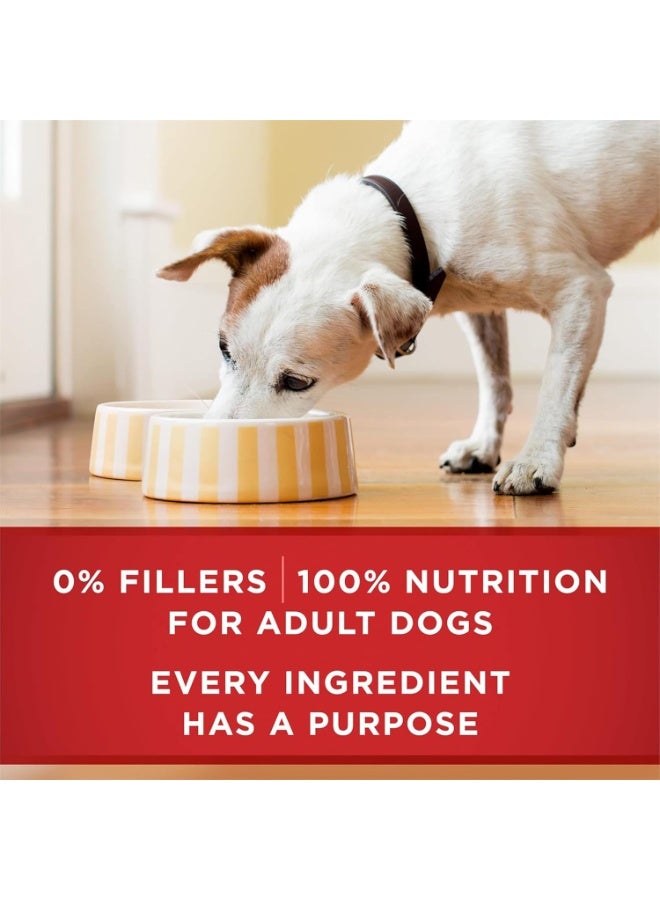 بيورينا ون طعام كلاب رطب مطحون غني بالبروتين من لحم البقر الطبيعي والأرز البني 368 جرام - Image 2