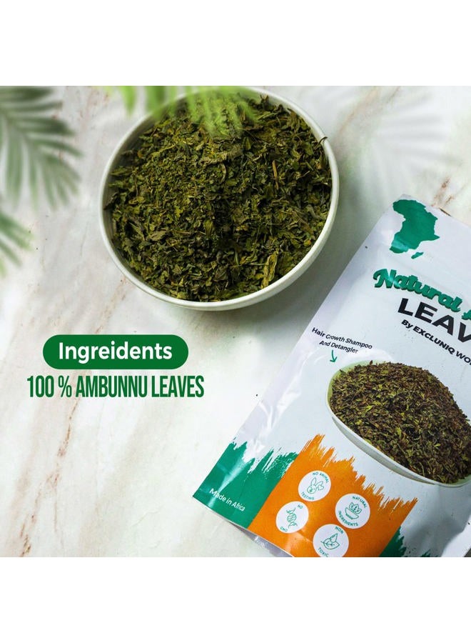 Natural Ambunnu Leaves by Excluniq World 50g pack | Herbal Hair Detangler, Shampoo & Conditioner for Dry and Damaged Hair | African Traditional Scalp & Hair Care Remedy for Everyone. 1.80 Ounce Pack - Image 4