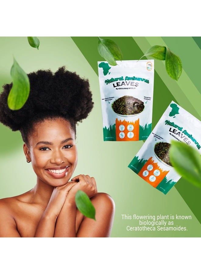 Natural Ambunnu Leaves by Excluniq World 50g pack | Herbal Hair Detangler, Shampoo & Conditioner for Dry and Damaged Hair | African Traditional Scalp & Hair Care Remedy for Everyone. 1.80 Ounce Pack - Image 3