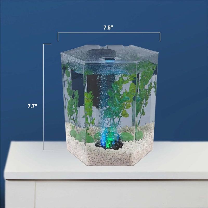 Tetra طقم حوض السمك LED المتلألئ من تيترا 1 جالون بشكل سداسي مع قرص ضوء متغير الألوان - Image 5