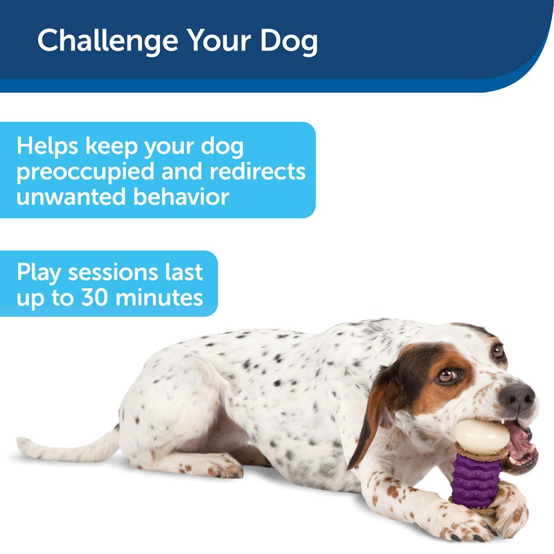 PetSafe Busy Buddy Nobbly Nubbly Treat Holding Dog Toy - Boredom Relief for Strong Chewers - Durable Nylon Build - Dishwasher Safe Design - Includes Treat Rings - Engaging Pet Puzzle - Purple - Medium - Image 4