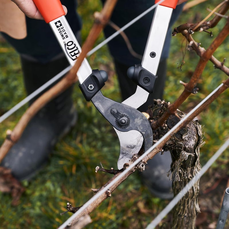 FELCO F211-40 Swiss Made Loppers for Gardening – 16" Lightweight Precision Loppers for Tree Trimming | Tree Branch Cutters | Tree Trimmer Tool with Curved Bypass Blade | I-Beam Handles | Landscape - Image 2