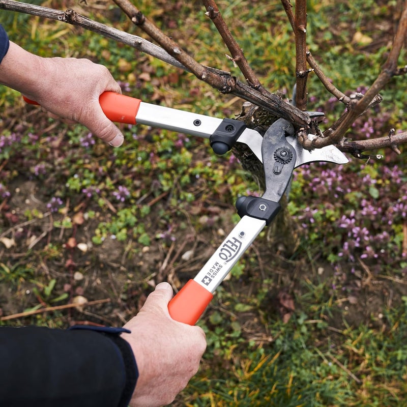 FELCO F211-40 Swiss Made Loppers for Gardening – 16" Lightweight Precision Loppers for Tree Trimming | Tree Branch Cutters | Tree Trimmer Tool with Curved Bypass Blade | I-Beam Handles | Landscape - Image 4