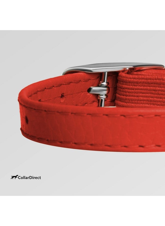 CollarDirect Leather Cat Collar, Kitten Collar with Removable Bell Black Blue Red Orange Lime Green (8-11 Inch, Red) - Image 3