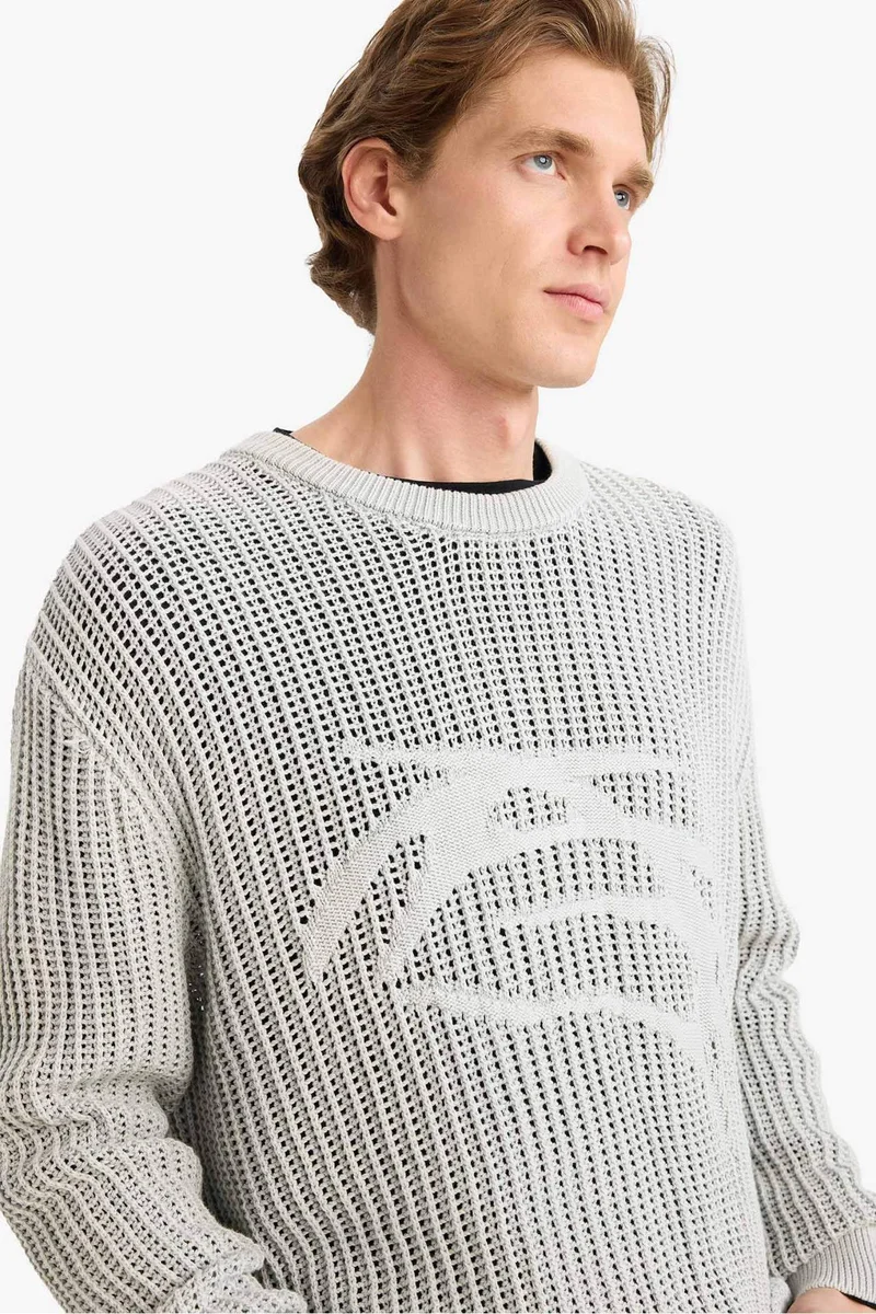 Defacto  Crew Neck Openwork Knit Pullover for Men | Best Price UAE
