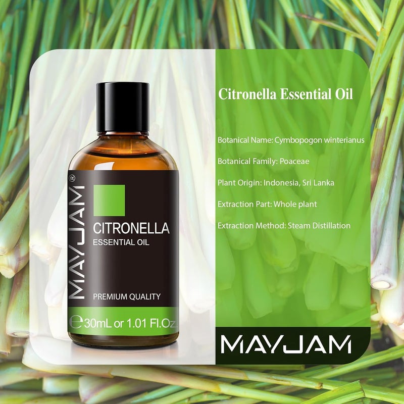 زيت السترونيلا العطري، MAYJAM 1.01 أونصة سائلة زيوت السترونيلا الممتازة لصنع صابون الشموع، المبخرات، غرفة النوم، غرفة المعيشة، المكتب، 30 مل/زجاجة - Image 2